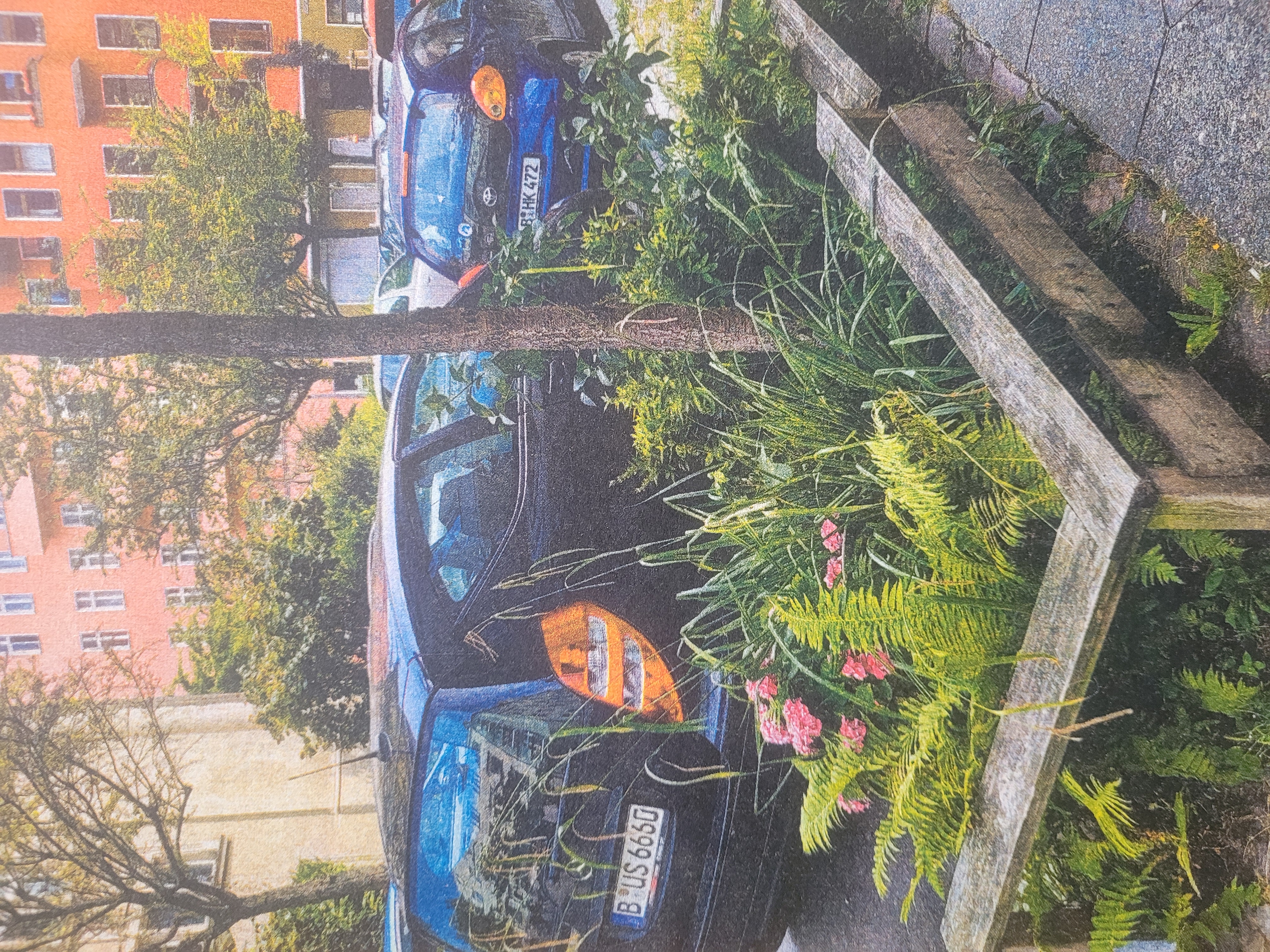 Idyllic Islands series