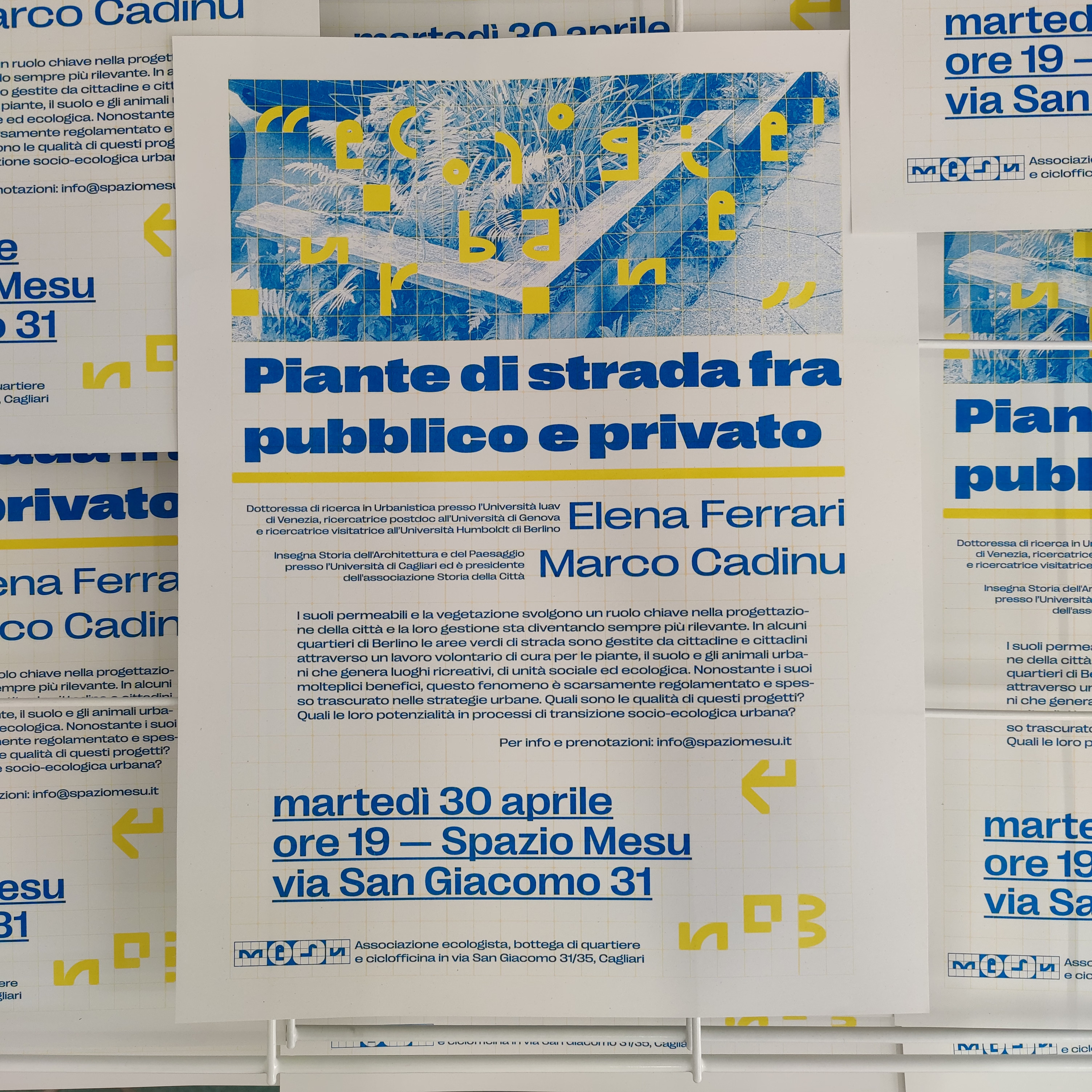 Street plants between public and private – Ecologie Urbane, Spazio Mesu Cagliari.